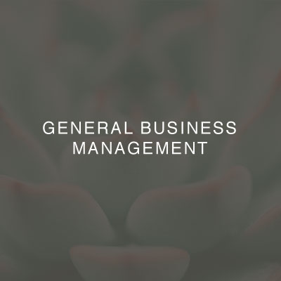 01-two-birds-general-business-management